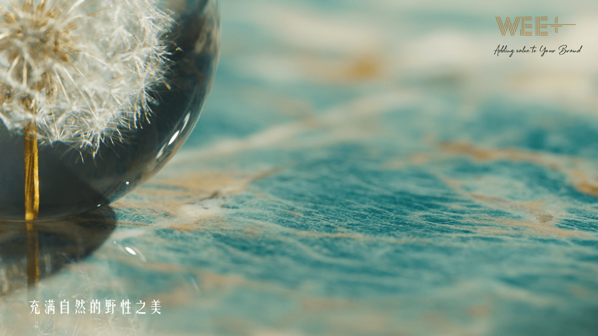 产品系列 | 白兔瓷砖
